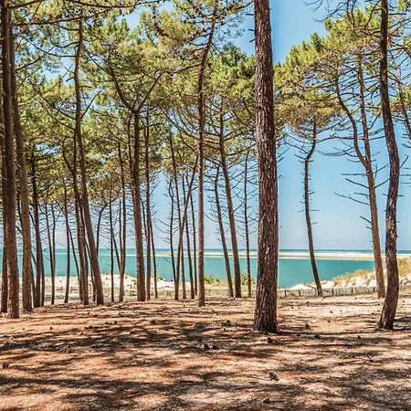 Hébergement de vacances Superbe Maison Avec Piscine